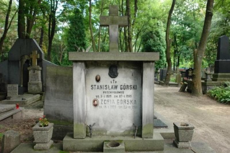 Zdjęcie grobu Zygmunt Górski (2)