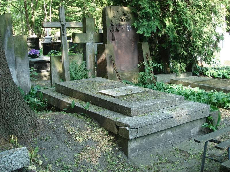 Zdjęcie grobu Michał Michałowski (1)