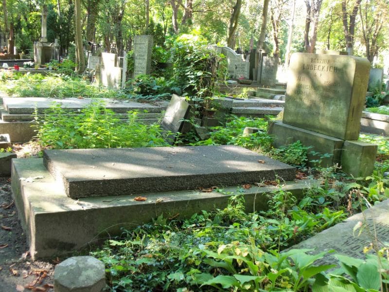 Zdjęcie grobu Bronisława Lubecka (1)