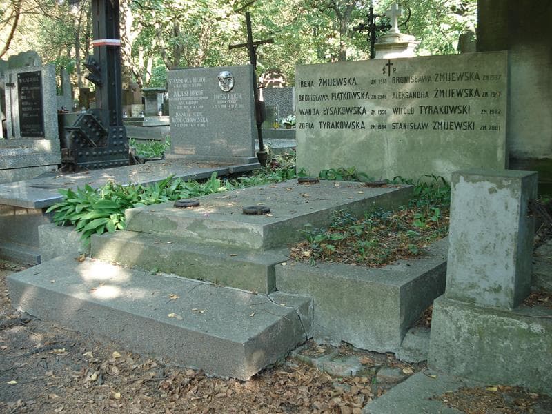 Zdjęcie grobu Bronisława Żmijewska (1)