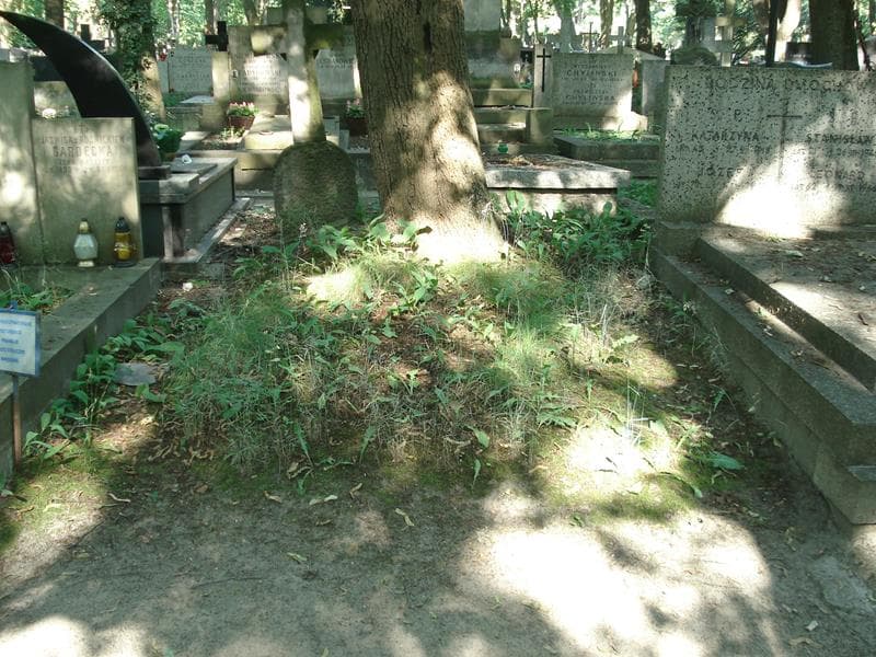 Zdjęcie grobu: Pole Grobowe