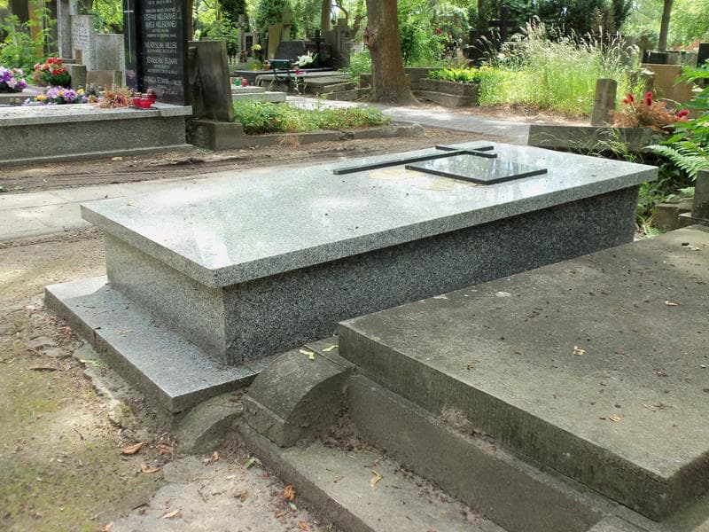 Zdjęcie grobu Leonard Marczewski (2)