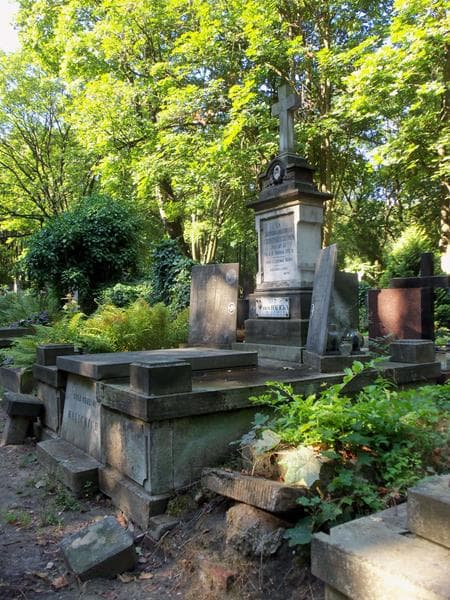 Zdjęcie grobu Zofia Halicka (1)