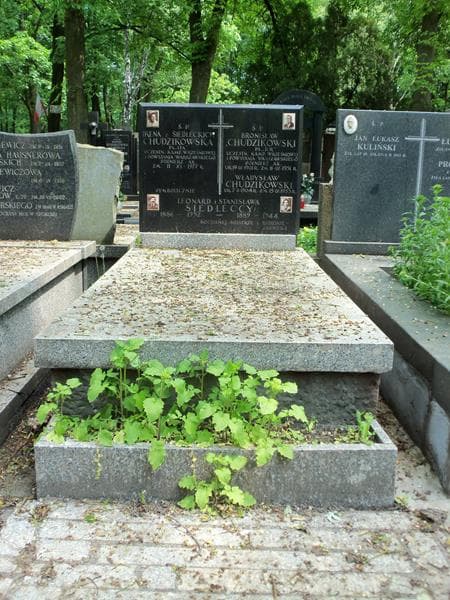 Zdjęcie grobu: Irena Chudzikowska
