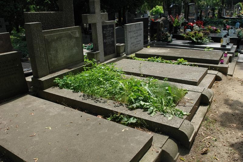 Zdjęcie grobu: Jan Dobrzyński