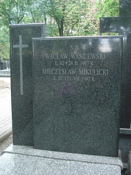 Zdjęcie grobu Wacław Wasilewski (2)