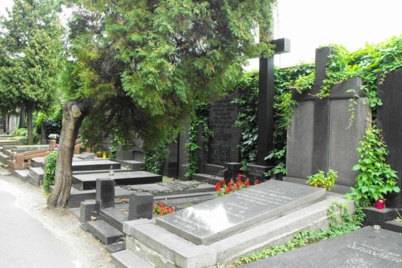 Zdjęcie grobu Julia Jungowa (1)