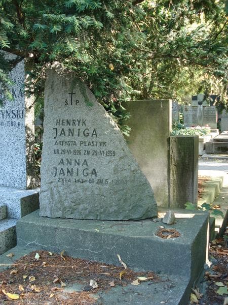 Zdjęcie grobu Anna Janiga (2)