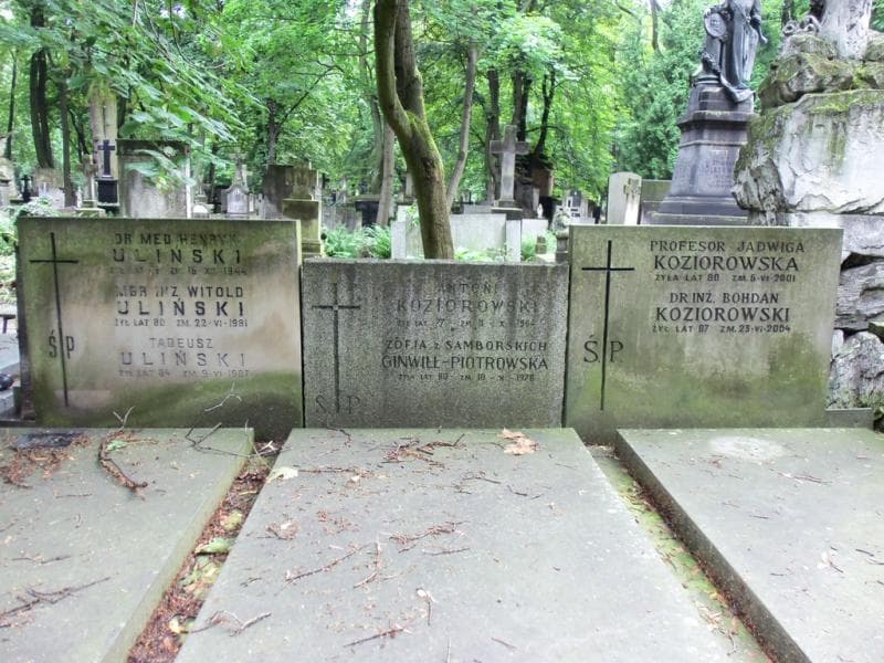 Zdjęcie grobu Henryk Uliński (2)