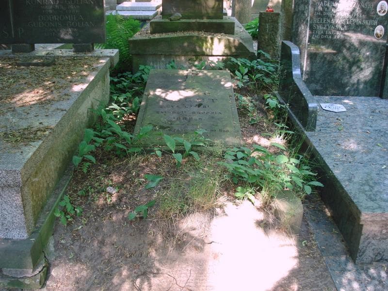Zdjęcie grobu Kazimierz Seget (1)