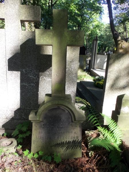 Zdjęcie grobu Wacław Cieszkowski (1)