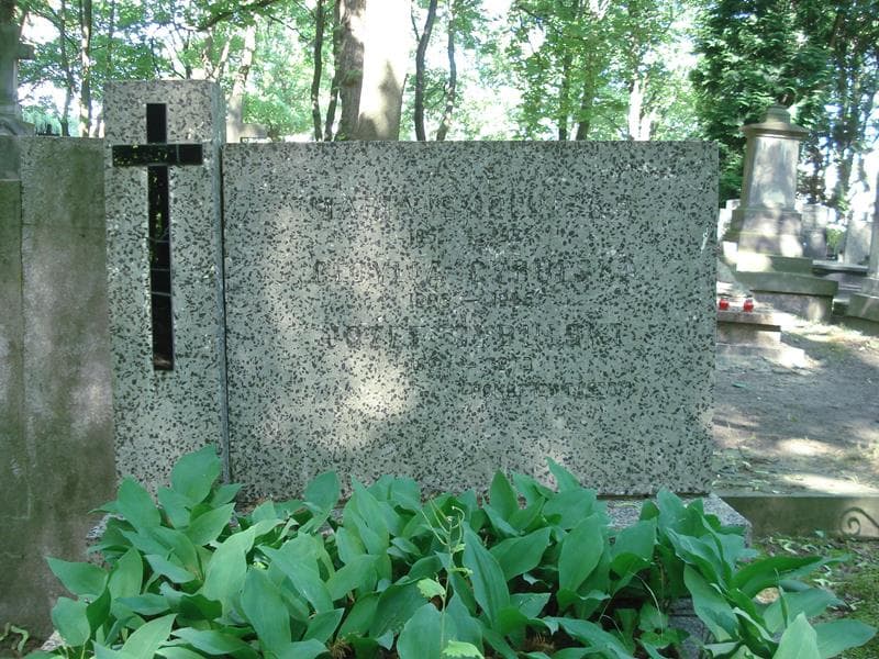 Zdjęcie grobu Józef Cybulski (1)