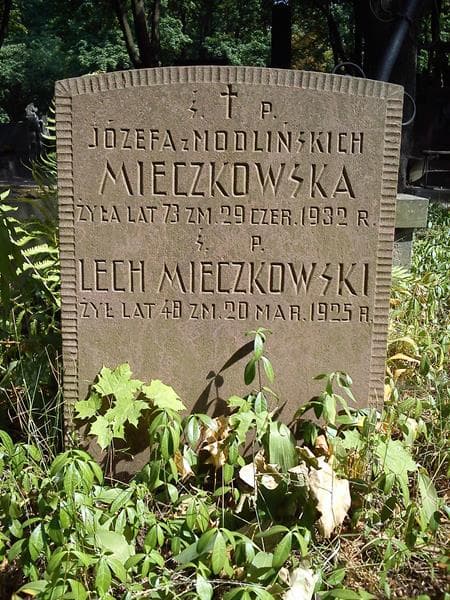 Zdjęcie grobu Lech Mieczkowski (2)