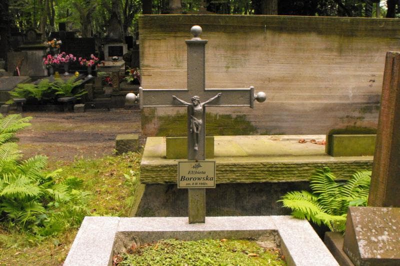 Zdjęcie grobu Elżbieta Borowska (2)