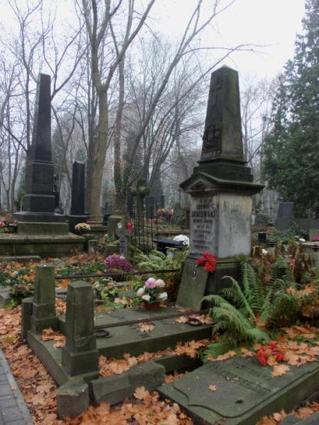 Zdjęcie grobu Ludwik Lesiewski (1)