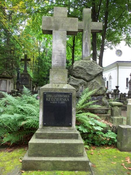Zdjęcie grobu Karol Dobrowolski (2)