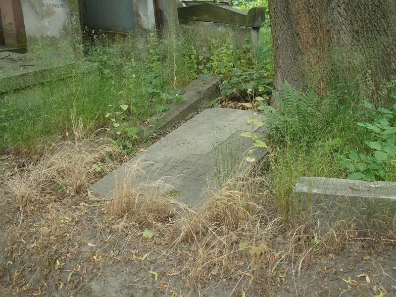 Zdjęcie grobu Stanisław Trzeciak (1)