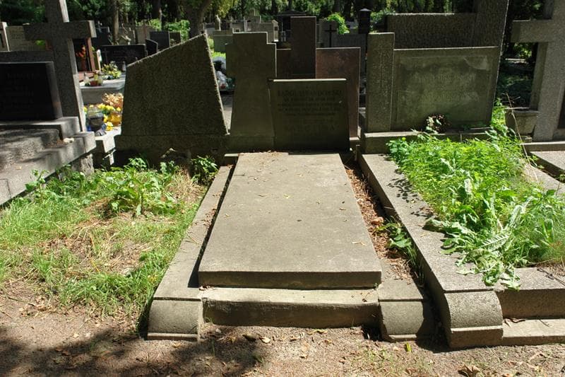 Zdjęcie grobu Karol Lewandowski (1)