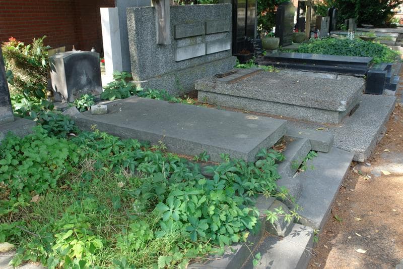 Zdjęcie grobu Leokadia Dzierzbicka (2)