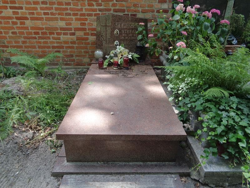 Zdjęcie grobu Stefan Tempczyk (1)
