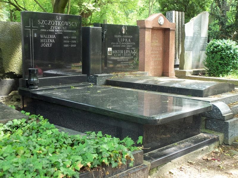 Zdjęcie grobu Zygmunt Szczotkowski (1)