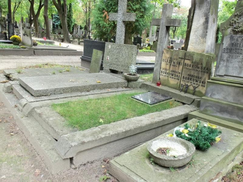 Zdjęcie grobu Aniela Borkowska (1)