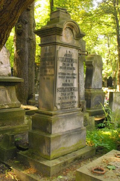Zdjęcie grobu Henryk Schumann (2)