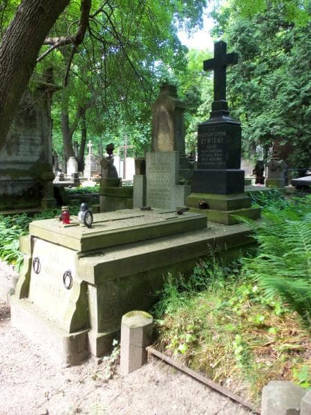 Zdjęcie grobu Władysław Cypryan Żywicki (1)