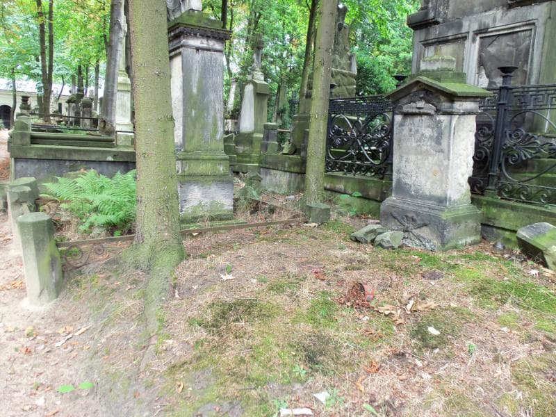 Zdjęcie grobu Wawrzyniec Młynarski (1)