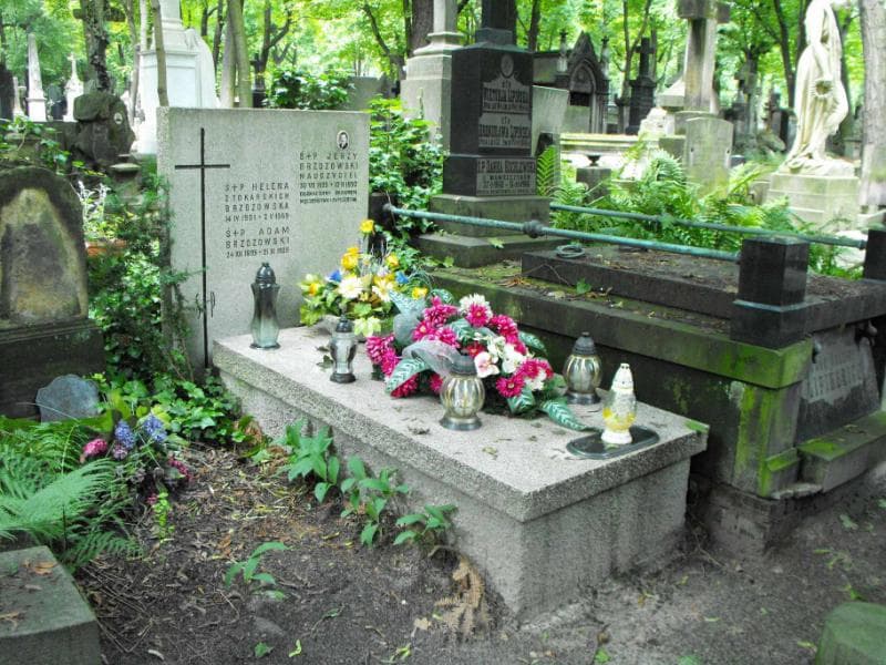 Zdjęcie grobu Adam Brzozowski (1)