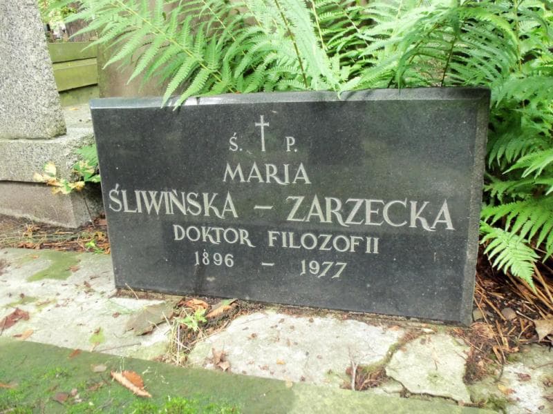 Zdjęcie grobu Paweł Perycz (2)
