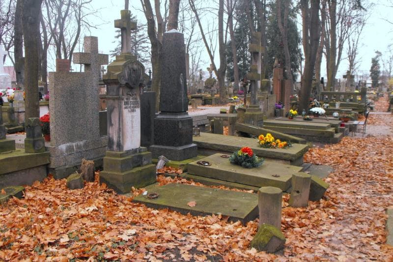Zdjęcie grobu Jadwiga Strachocka (2)