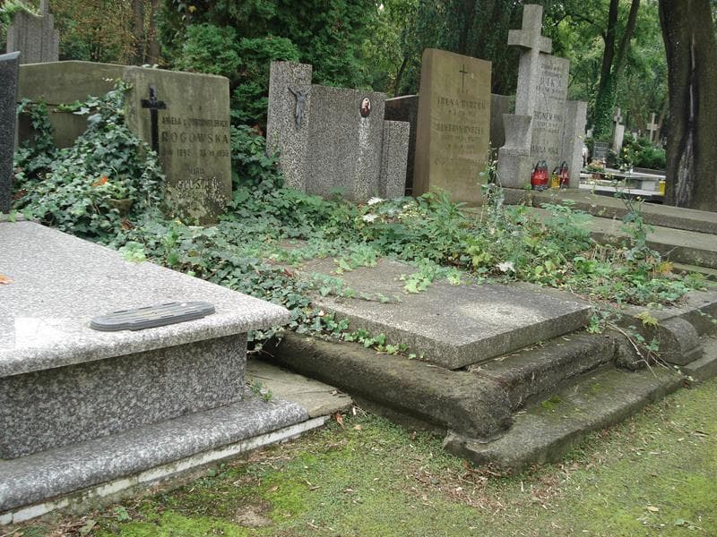Zdjęcie grobu Maria Głuszek (1)