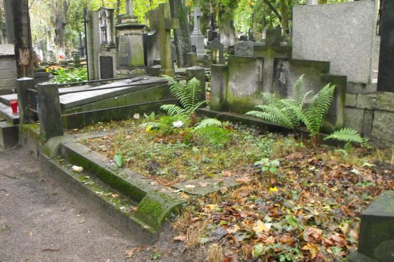 Zdjęcie grobu Aleksandra Pawłowicz (1)