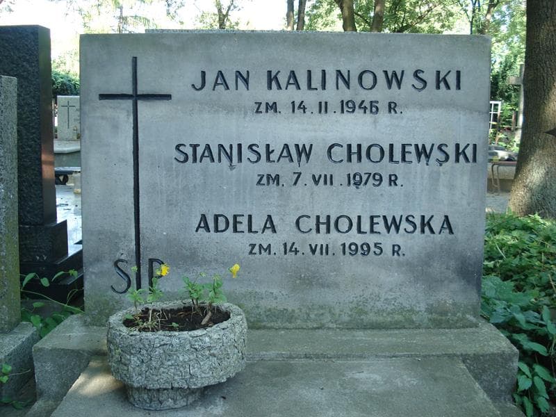 Zdjęcie grobu Adela Cholewska (2)