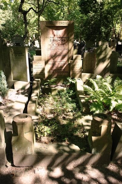 Zdjęcie grobu Eugenia Gołębiowska (1)