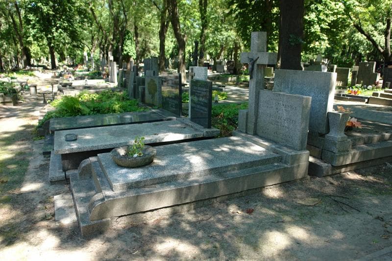 Zdjęcie grobu: Mieczysław Wężyk