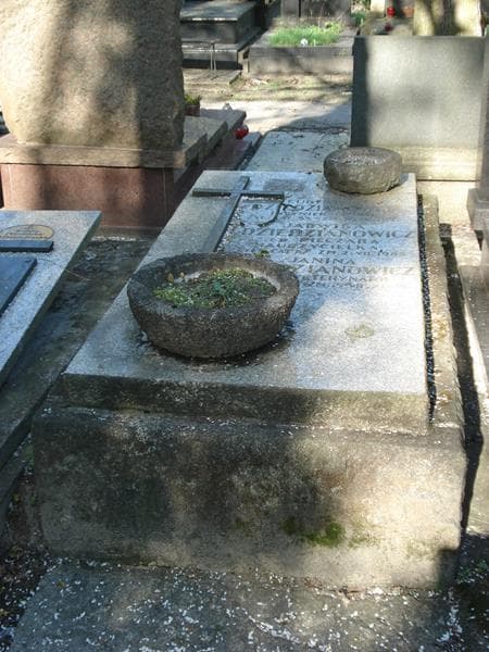 Zdjęcie grobu Jadwiga Dziedzianowicz (1)