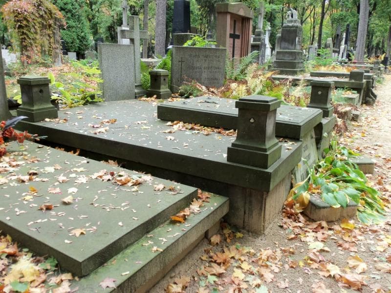 Zdjęcie grobu Krajewscy (1)