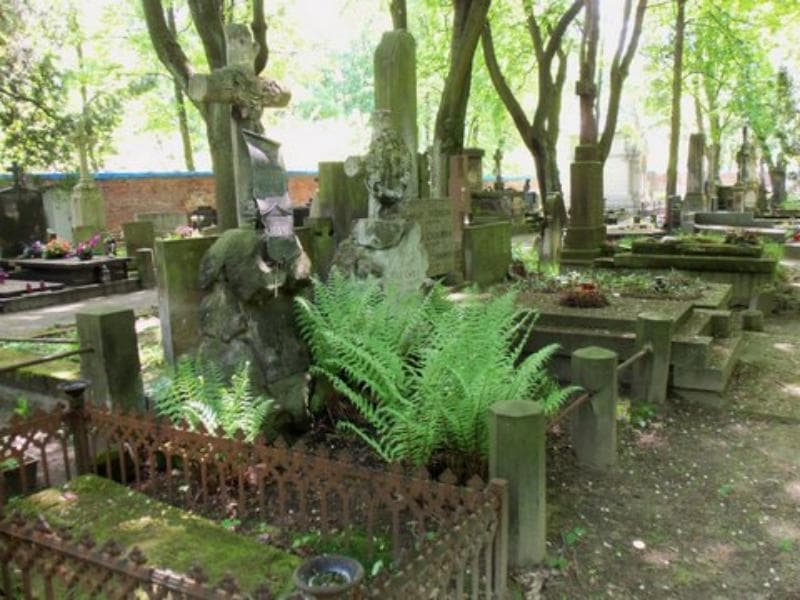 Zdjęcie grobu Feliks Jackowski (1)