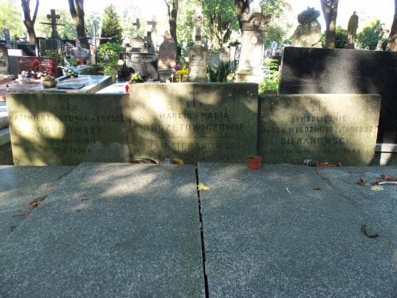 Zdjęcie grobu Kazimierz Ostrowski (2)