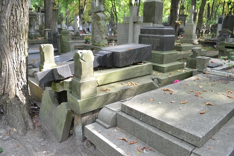 Zdjęcie grobu: Antonina Służewska