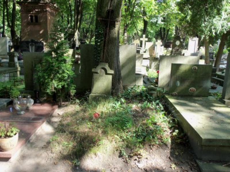 Zdjęcie grobu: Marja Kołakowska