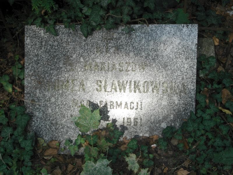 Zdjęcie grobu Salomea Sławikowska (1)