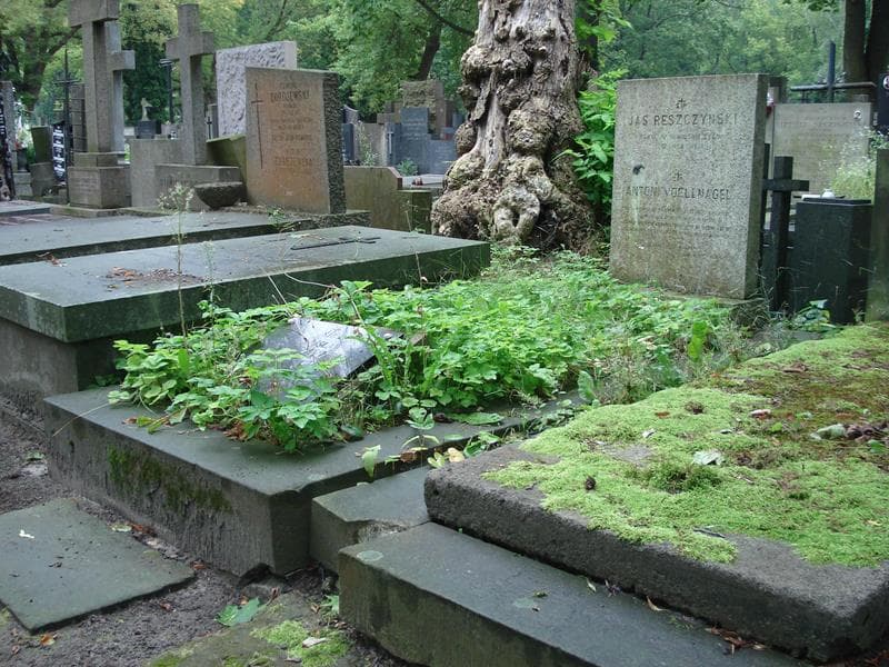 Zdjęcie grobu Antoni Voellnagel (1)