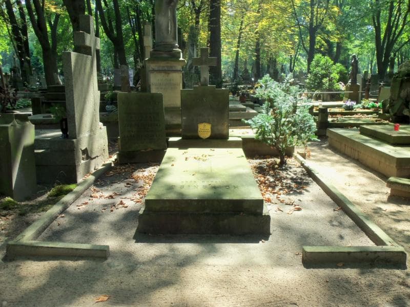 Zdjęcie grobu Apolonja Osińska (1)