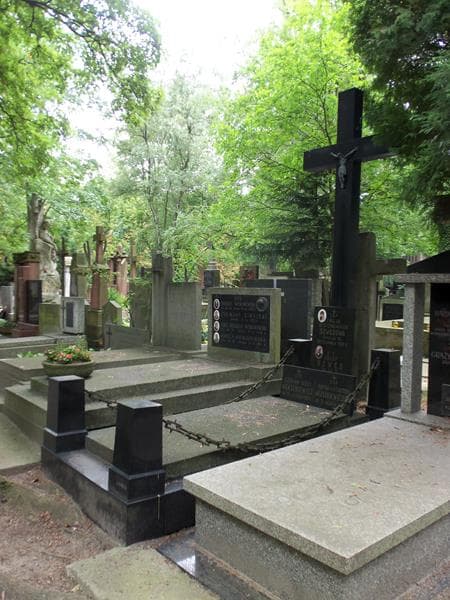 Zdjęcie grobu Czesław Jerzy Araszkiewicz (1)