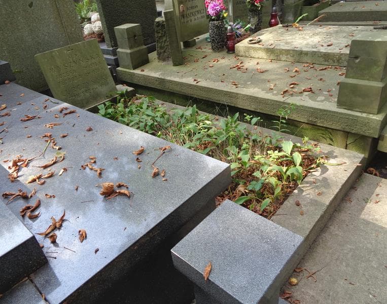 Zdjęcie grobu: Teodora Wyszyńska
