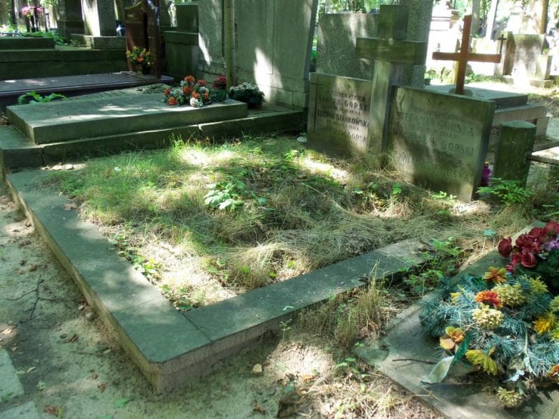 Zdjęcie grobu: Władysław Górski