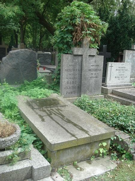 Zdjęcie grobu Bronisława Lipińska (2)
